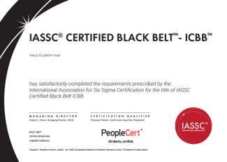 Six sigma 2025 black belt cost